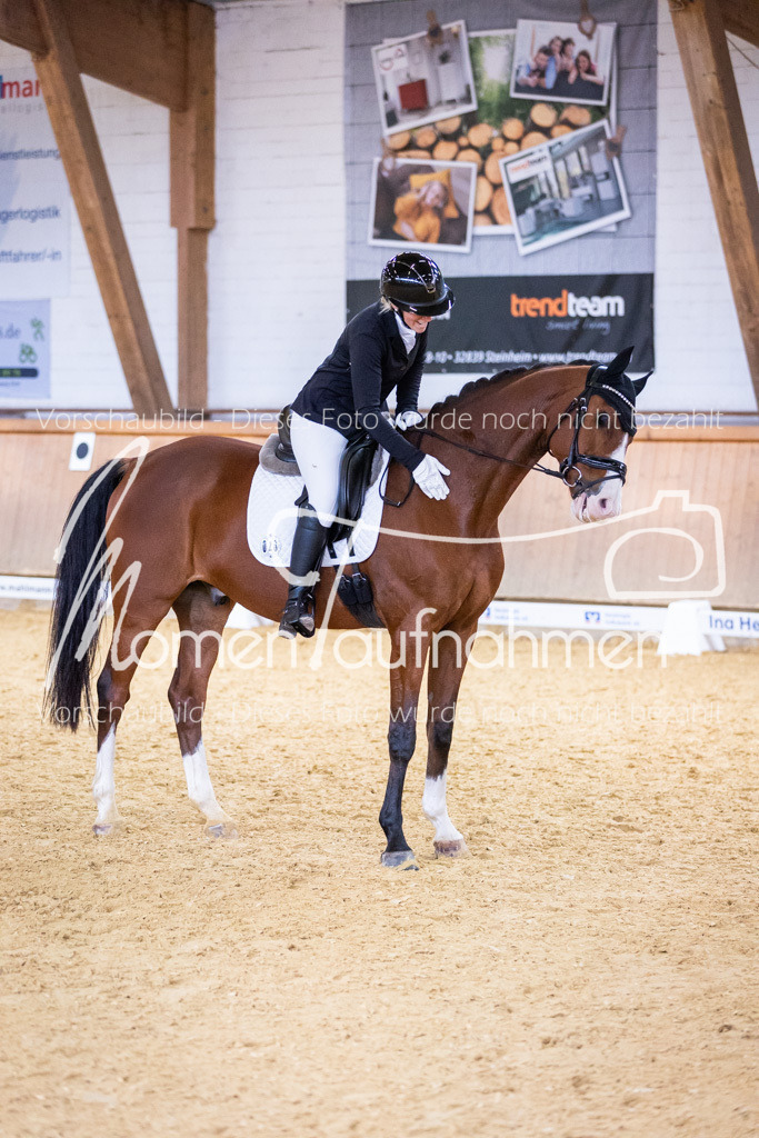 Sth-A-Dre-2St-071 | MomenTaufnahmen Pferdesportfotos