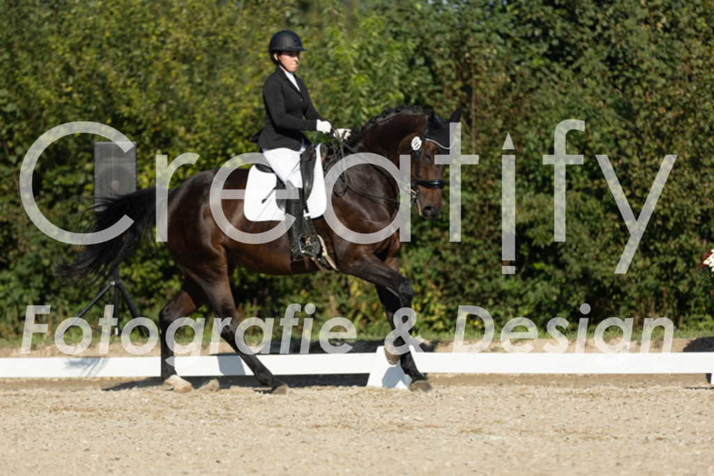 IMG_0834 | Creatify Fotografie