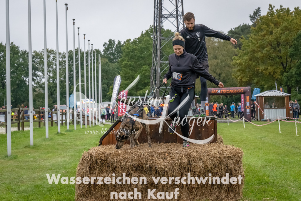 1206--14 | kk-dogfotos