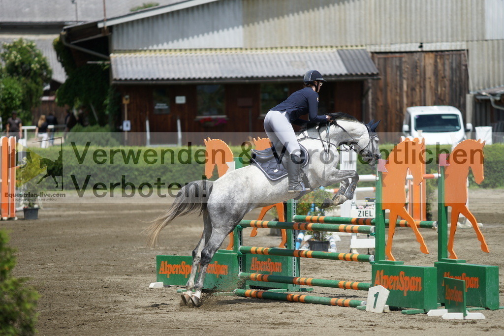 DSC05161 | equestrian-live-com