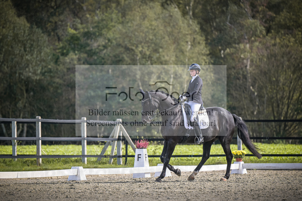 DOS_0345 | Entdecke hochwertige Reitturnierfotos von Foto Oger. Professionell, emotional und authentisch – jetzt Lieblingsmomente im Shop bestellen.Deutschlandweite Turnierfotografie. - Realisiert mit Pictrs.com