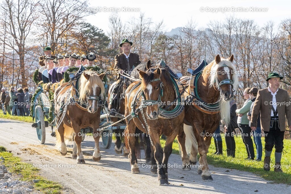 LBT24-1510 | foto-bettina-krinner - Realisiert mit Pictrs.com