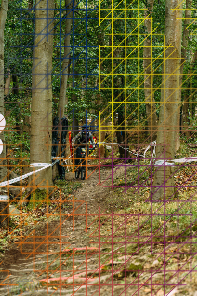 PAE-0292 | Einzigartige Fotokunst für dein Zuhause: Entdecke hochwertige Wandbilder, edle Prints und emotionale Motive von Wildlife, Natur und Landschaften - Realisiert mit Pictrs.com