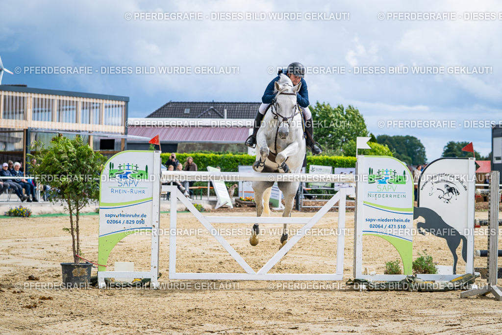 DSC05498 | Pferdegrafie