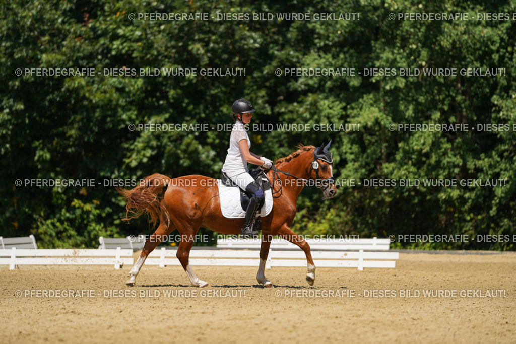 DSC05481 | Pferdegrafie