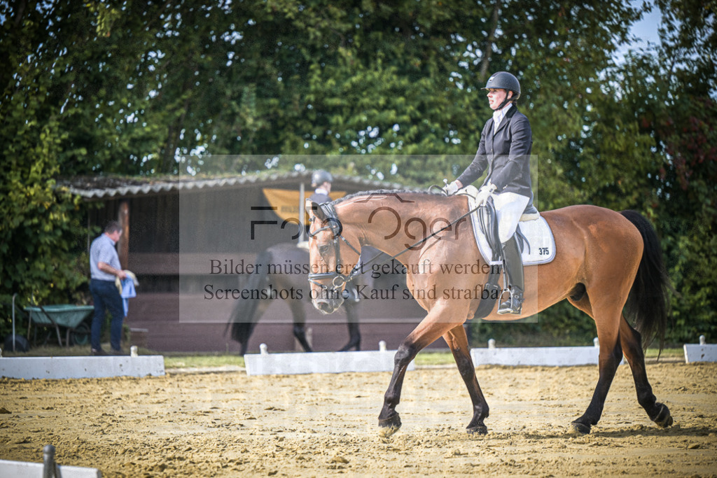 DOS_8412 | Entdecke hochwertige Reitturnierfotos von Foto Oger. Professionell, emotional und authentisch – jetzt Lieblingsmomente im Shop bestellen.Deutschlandweite Turnierfotografie. - Realisiert mit Pictrs.com
