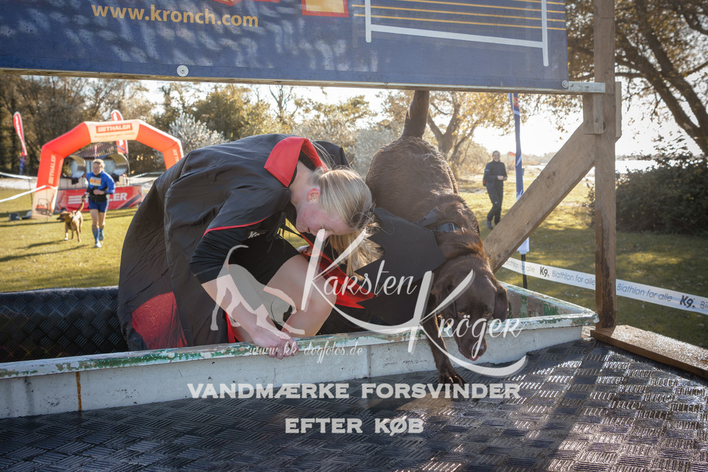 1210_ZZ94793 | kk-dogfotos