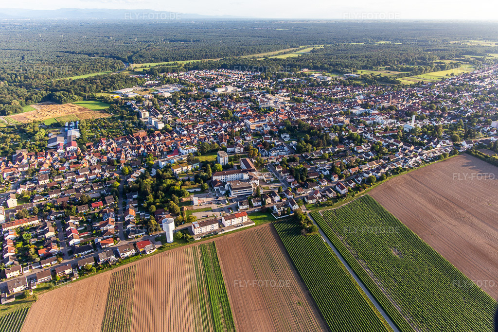 Luftbild: Stadt von Norden mit Krankenhaus Asklepios Südpfalzkliniken in Kandel im Bundesland Rheinland-Pfalz in Deutschland. Foto: IMG_143264.jpg vom 25.08.2024 durch Werner Riehm/FLY-FOTO.de