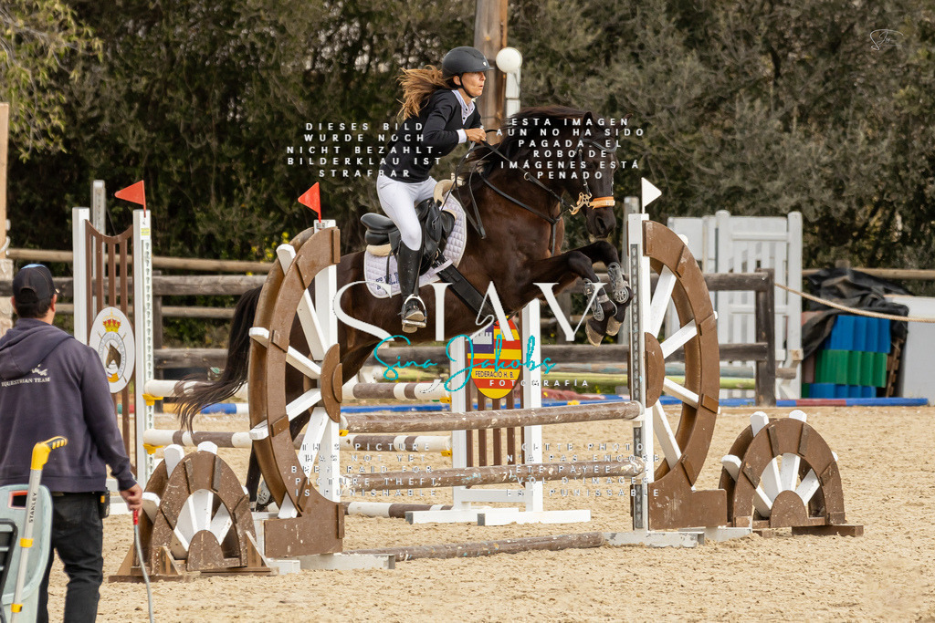 IMG_4538 | s-jay-photography - Realisiert mit Pictrs.com