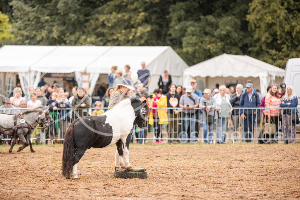 846A3775 | fotosleben - Realisiert mit Pictrs.com