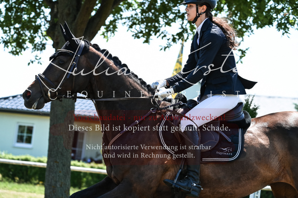 DSC_0449 | Pferde- und Turnierfotografie in Westsachsen. Pferdeportraits, Auftragszeichnungen und intuitive Kunst.