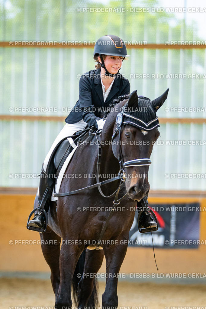 DSC09544 | Pferdegrafie