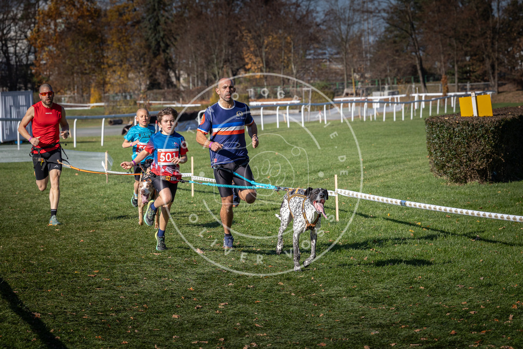 CaniXpix_0L8A6555 | Hundefotografie, Tierfotograf, Pfotenfotografie, Fotoshooting Hund, Hunde Portrait, Hundesport, Hundeportraits, Heideshooting, Hunde, Sportfotograf, Hundefotograf, Turnierhundsport, THS,  - Realisiert mit Pictrs.com