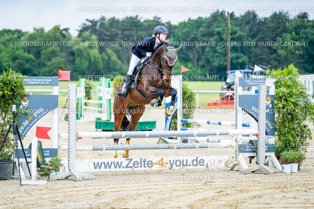 DSC01011 | Pferdegrafie