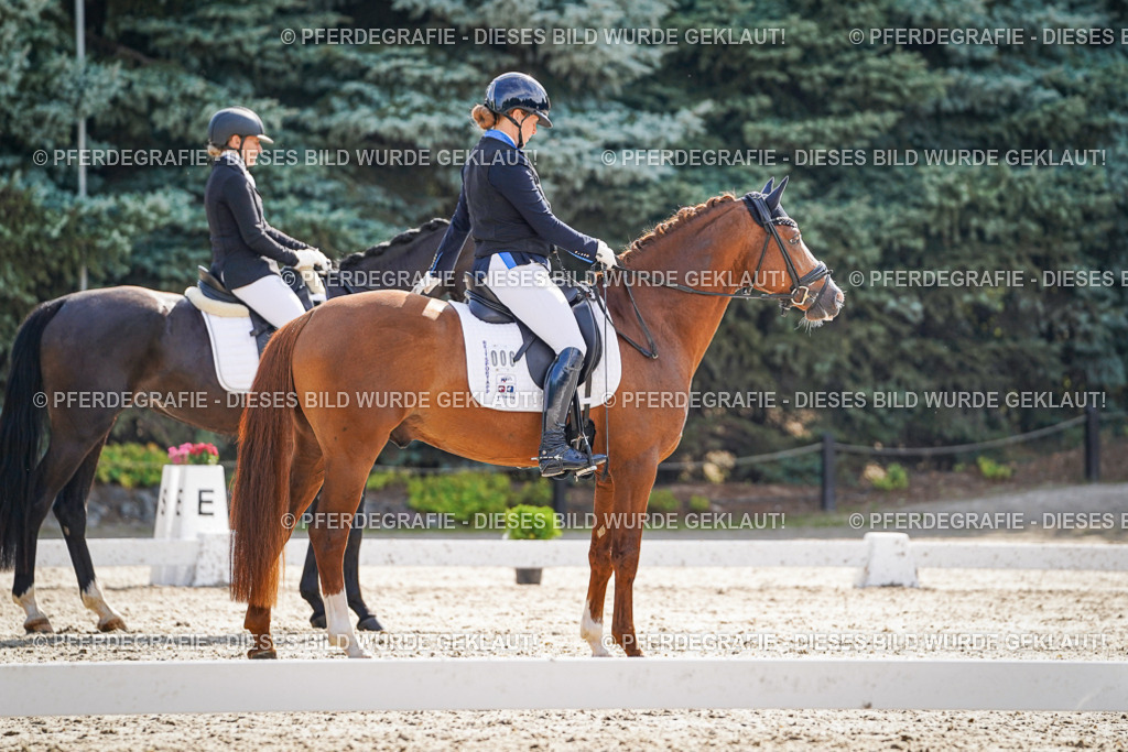 DSC06461 | Pferdegrafie