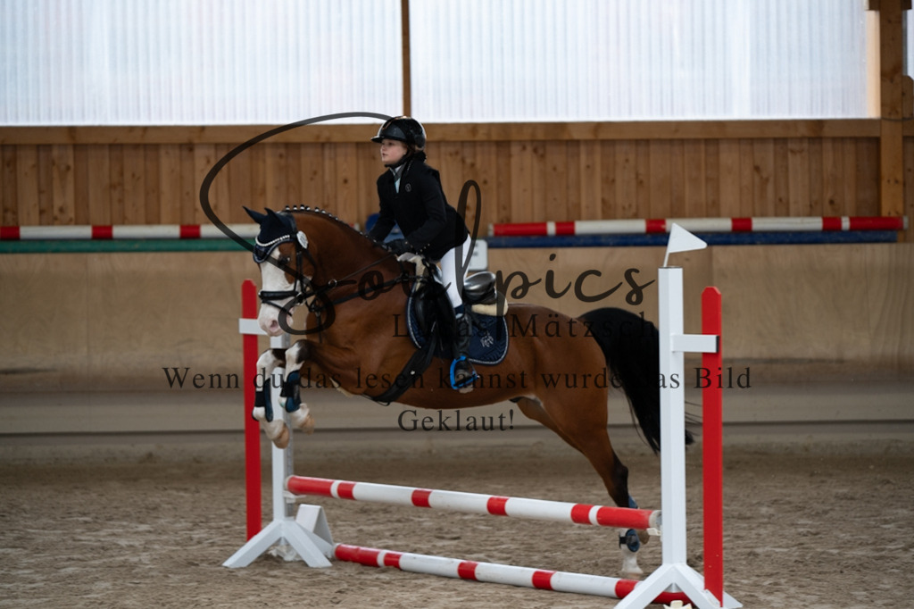 A7V09979 | Pferdefotograf