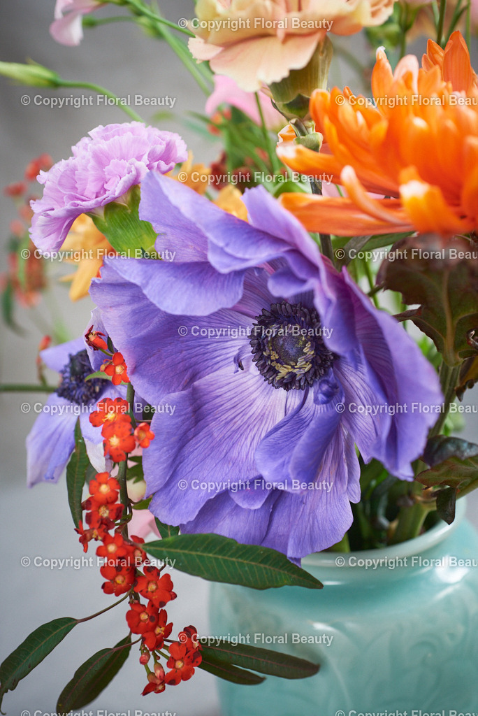 Strauss_alte_Meister_lila_orange | Lila-oranger Blumenstrauß im Stil der alten Meister auf grauem Untergrund - Realisiert mit Pictrs.com