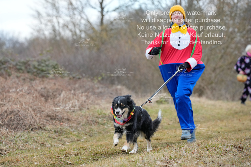 Fasching-55 | stephaniefillaphotographie - Realisiert mit Pictrs.com