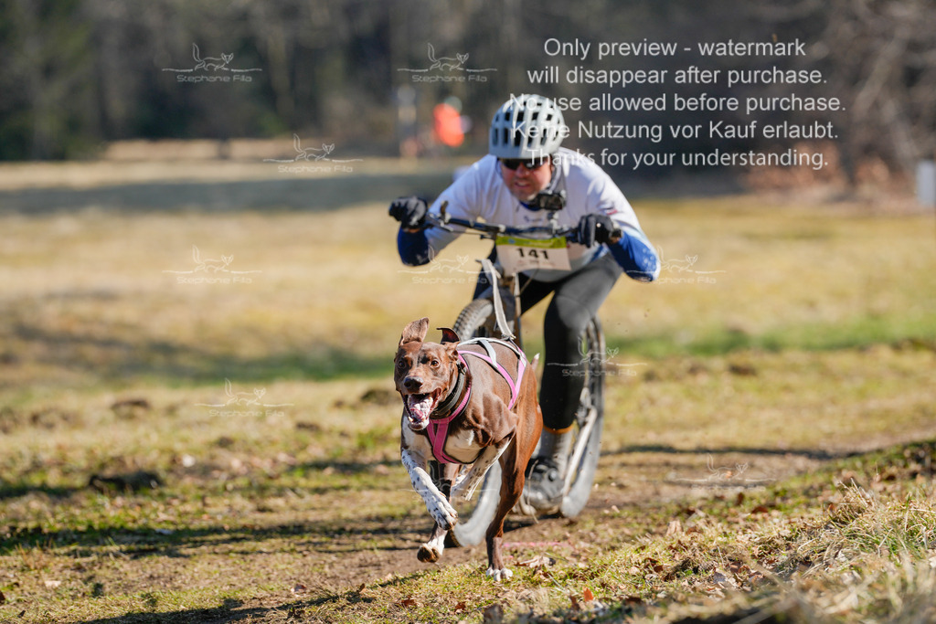 Scooter_So-13 | stephaniefillaphotographie - Realisiert mit Pictrs.com