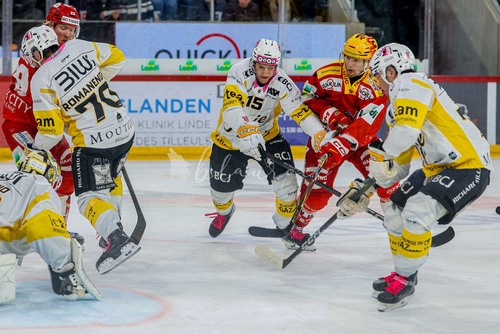 EHCB vs HCA 20260127_wb-9511 | Sportbilder, Sportfotograf, Hochzeits- und Eventfotografin, Flugshows, Portraits und Tiershooting, Aviation, Downhill, Nationalleague, Swissleague, International
