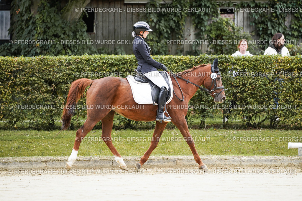 DSC04512 | Pferdegrafie