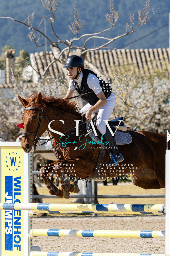 IMG_0738 | s-jay-photography - Realisiert mit Pictrs.com