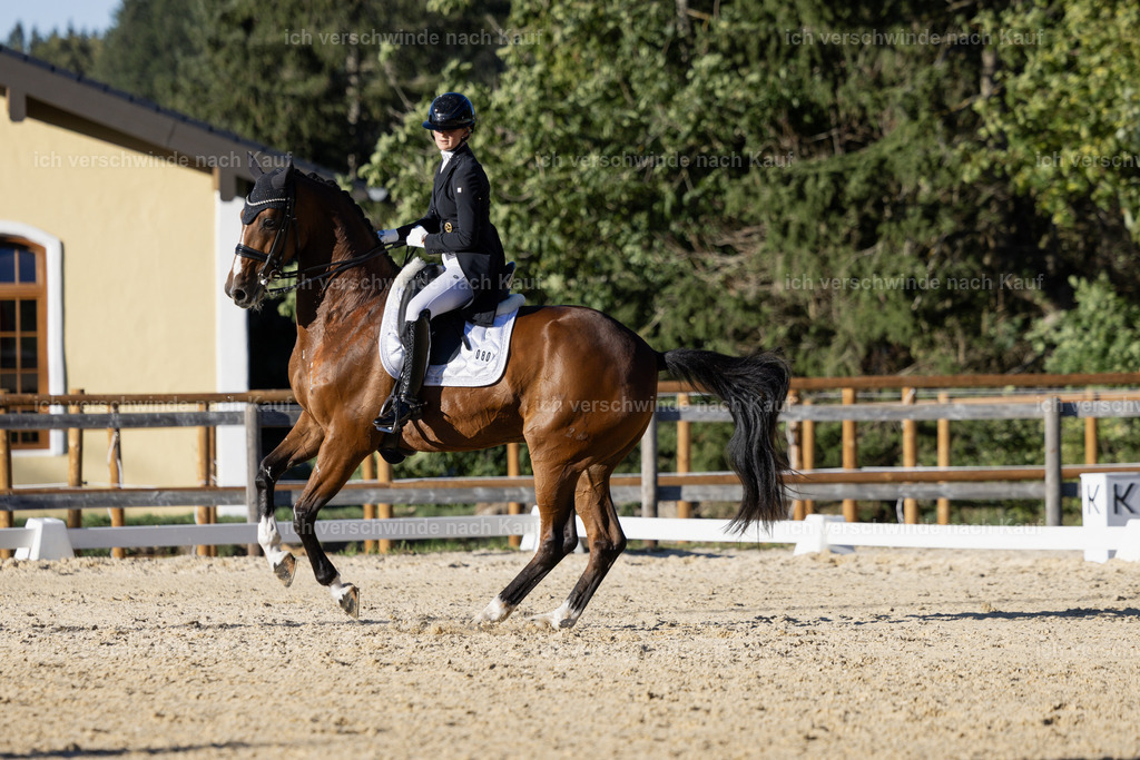 FHC2026_P09_80_19008 | Fichtenhof Classics 2026 – Grand Prix de Dressage - VOLTAIRE Design Preis, Reitanlage Fichtenhof, Sch ftlarn