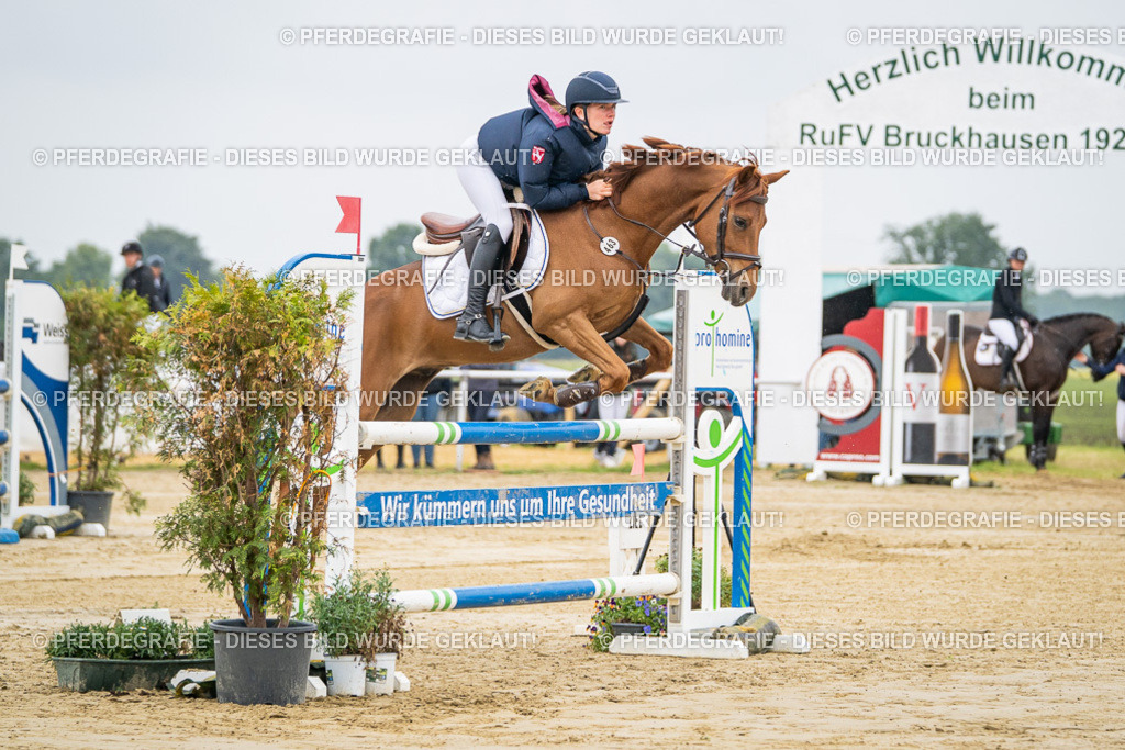 DSC01143 | Pferdegrafie