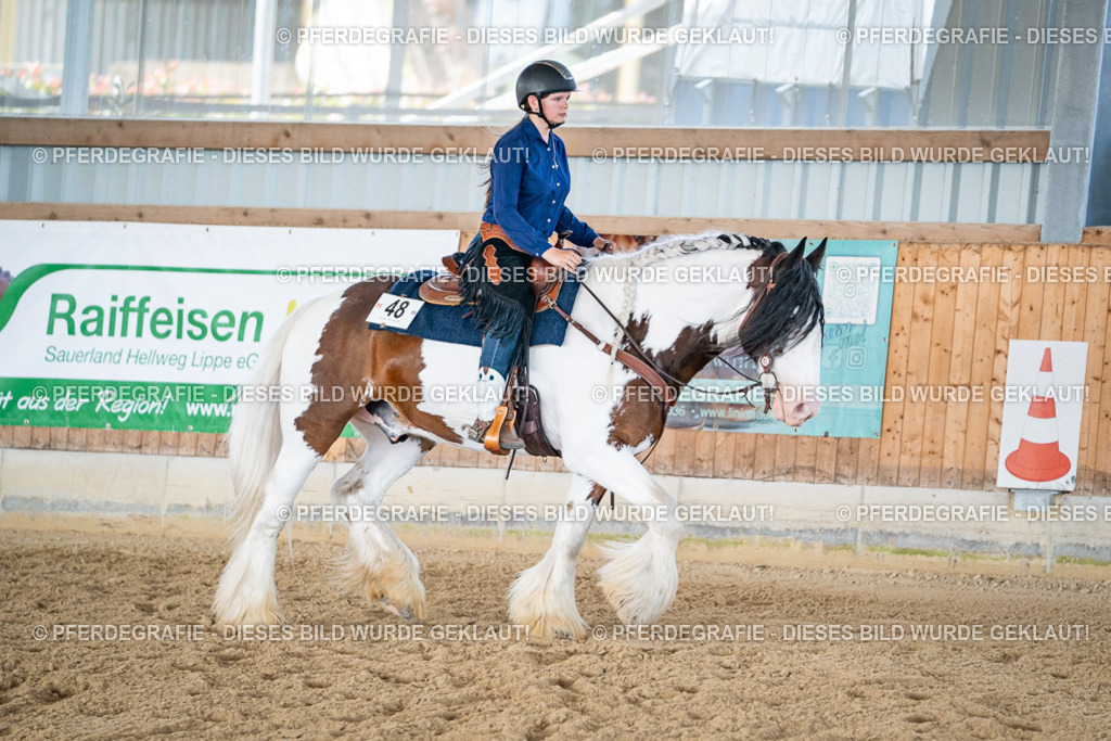 DSC02992 | Pferdegrafie