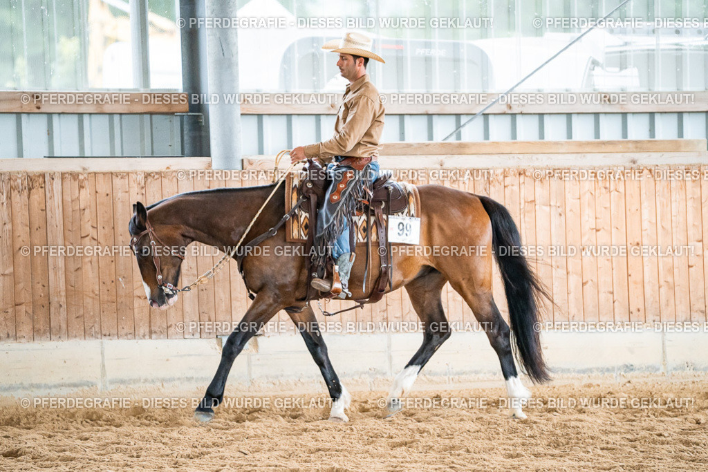 DSC00400 | Pferdegrafie