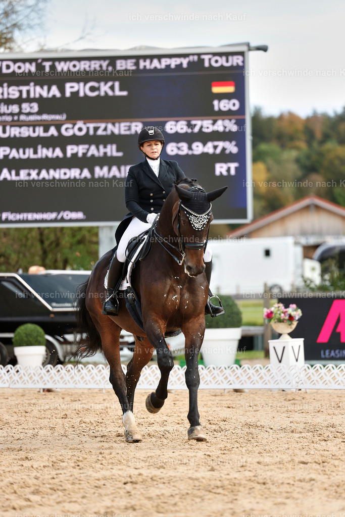 6-160-AMATUER-DRESSUR S_  -StoibPH-3454 | working equitationturnier fotograf videograf stoibphotography marixx film working equitation deutschland reitsport turnierfotografie eventfotografie equestrian events