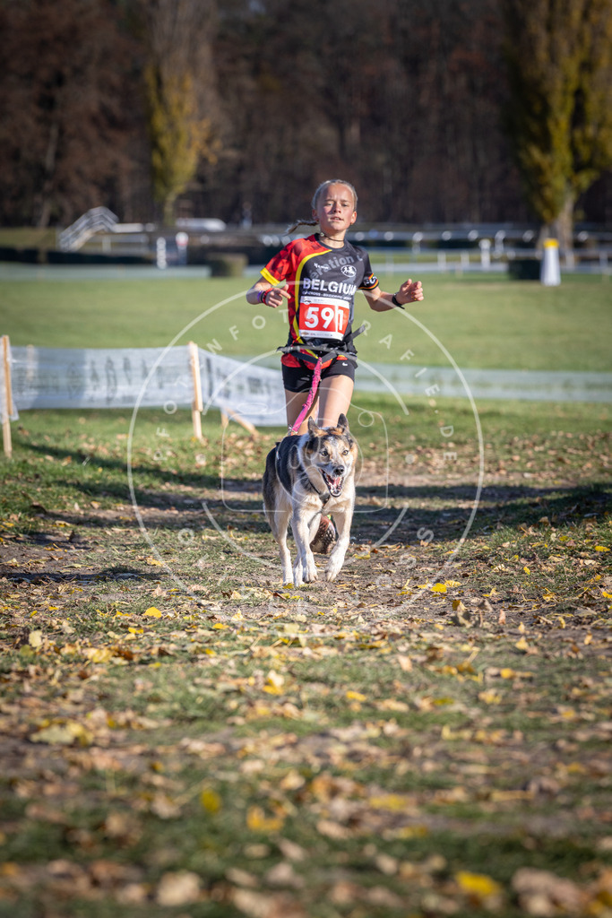 CaniXpix_DV3A9259 | Hundefotografie, Tierfotograf, Pfotenfotografie, Fotoshooting Hund, Hunde Portrait, Hundesport, Hundeportraits, Heideshooting, Hunde, Sportfotograf, Hundefotograf, Turnierhundsport, THS,  - Realisiert mit Pictrs.com