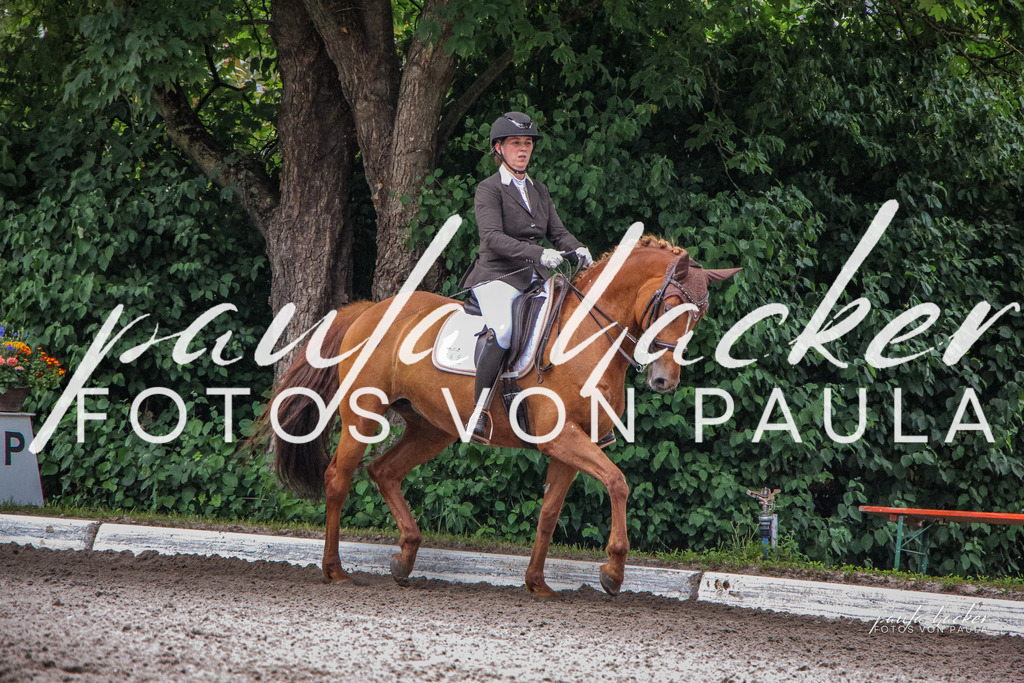 IMG_8863 | Erleben Sie dynamische Sport- und emotionale Tierfotografie in Süddeutschland mit Fotos von Paula. Spezialisiert auf Pferde- und Hundefotografie sowie Sportevents. Kontaktieren Sie mich für einzigartige und ausdrucksstarke Bilder Ihrer besonderen Momente. - Realisiert mit Pictrs.com