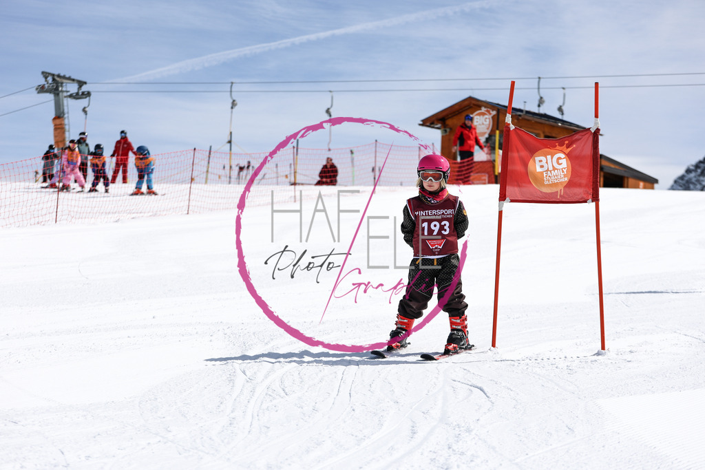 7N7A6756 | photohafele - Realisiert mit Pictrs.com