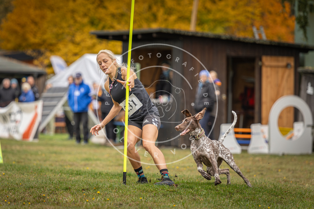 Pfotenfotografie_DV3A3343 | Hundefotografie, Tierfotograf, Pfotenfotografie, Fotoshooting Hund, Hunde Portrait, Hundesport, Hundeportraits, Heideshooting, Hunde, Sportfotograf, Hundefotograf, Turnierhundsport, THS,  - Realisiert mit Pictrs.com
