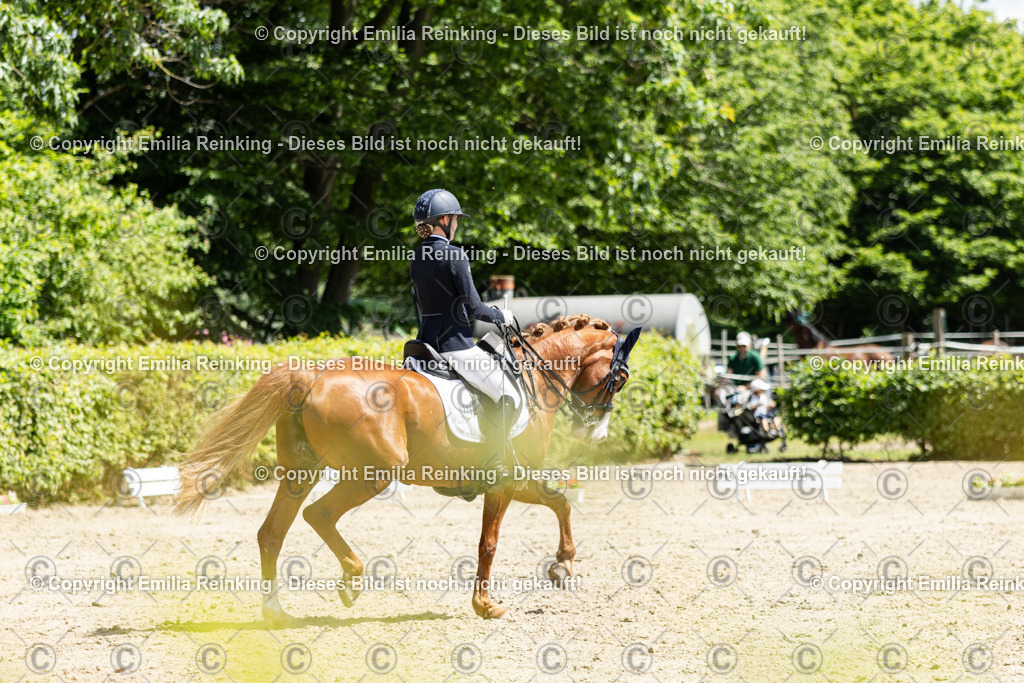 CL5A8950 | Emilia Reinking Fotografie - Realisiert mit Pictrs.com