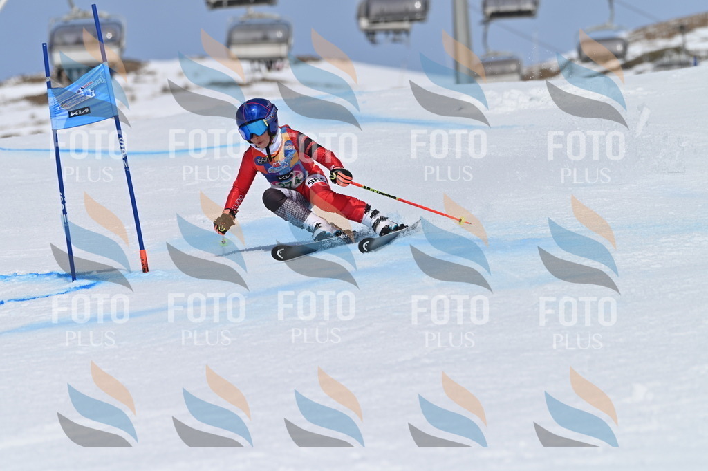 BGV_3398 | holidayphoto