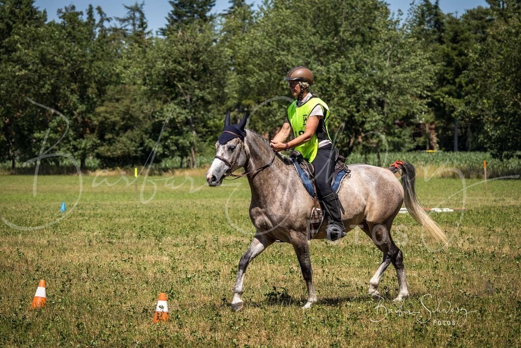 CJP_2026-06-26_13 | Stimmungsvolle Fotografie von Pferden, fotografische Begleitung von Veranstaltungen, Golfturnieren und Distanzritten - Realisiert mit Pictrs.com