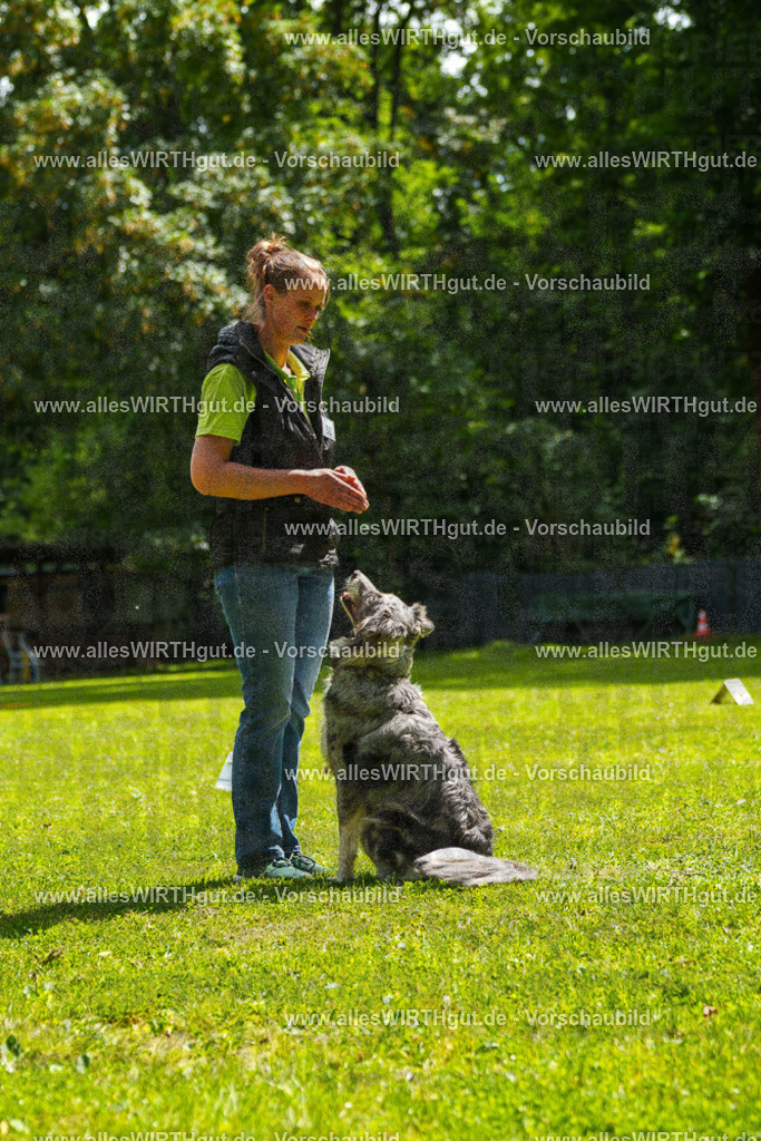 @allesWIRTHgut_Tierfotografie - www.allesWIRTHgut.de - 7R505888 | Professionelle Tierfotografie in Mönchengladbach von Daniel Wirth (allesWIRTHgut). Liebevolle & natürliche Bilder von Hunden & Katzen für unvergessliche Erinnerungen.