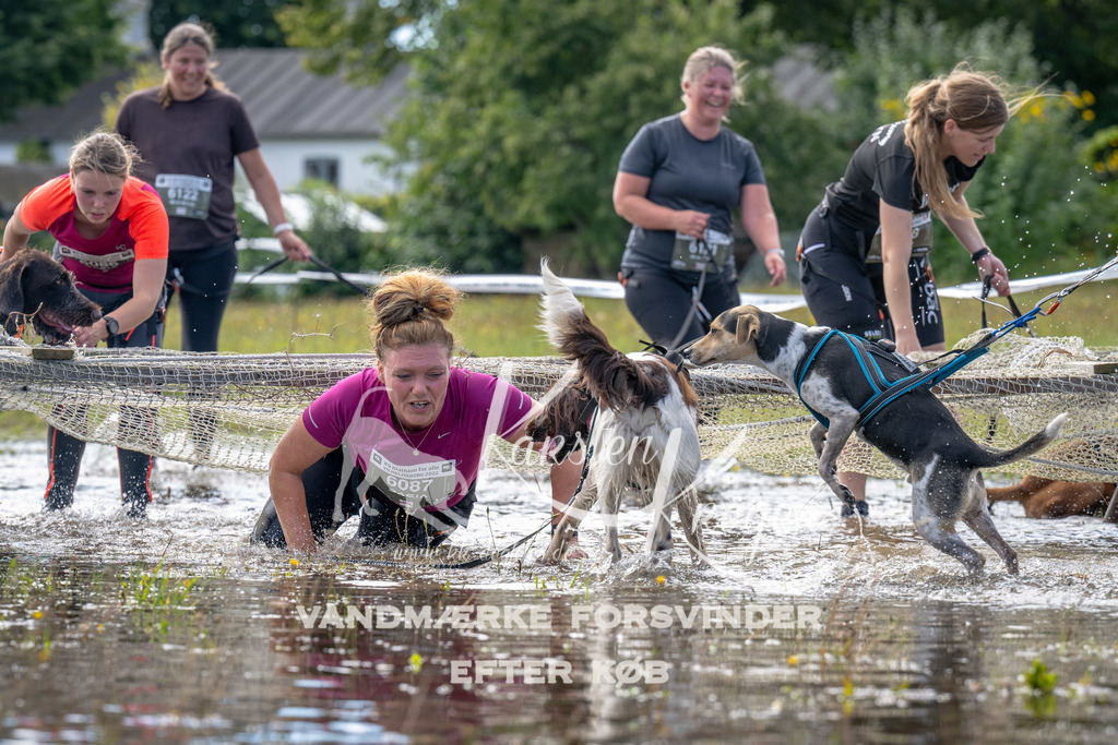 1223_ZZ94198 | kk-dogfotos