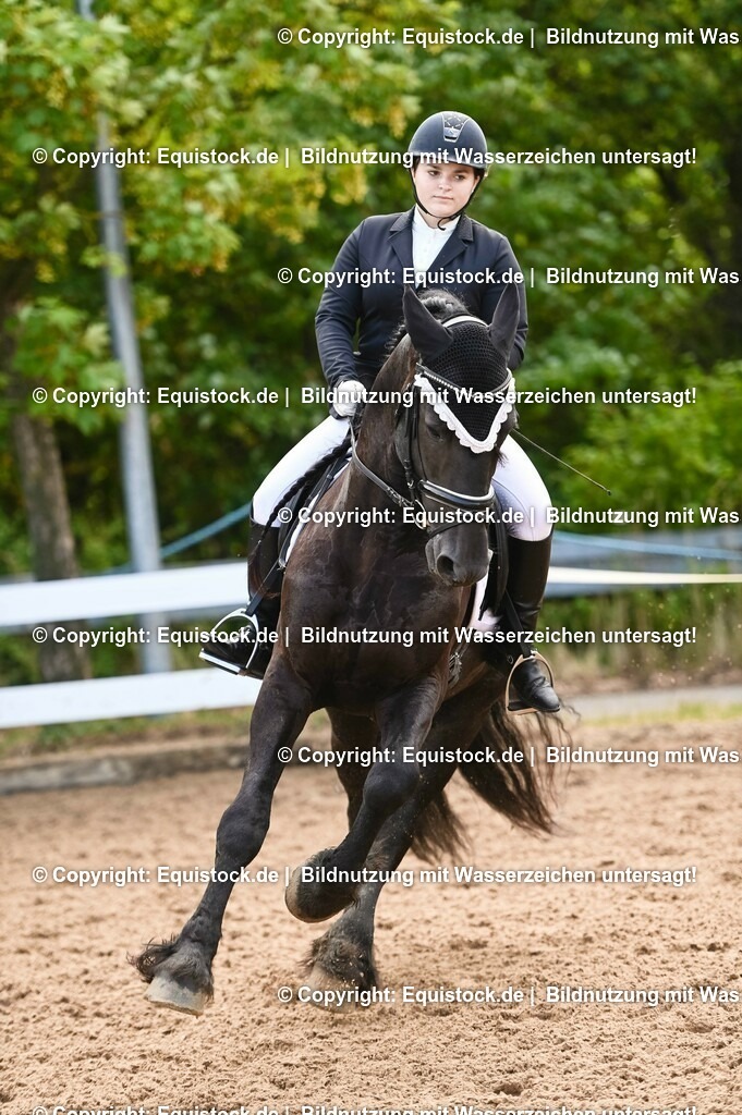 20230716_04_Dressurreiterprüfung Kl.A_0383 | equistock