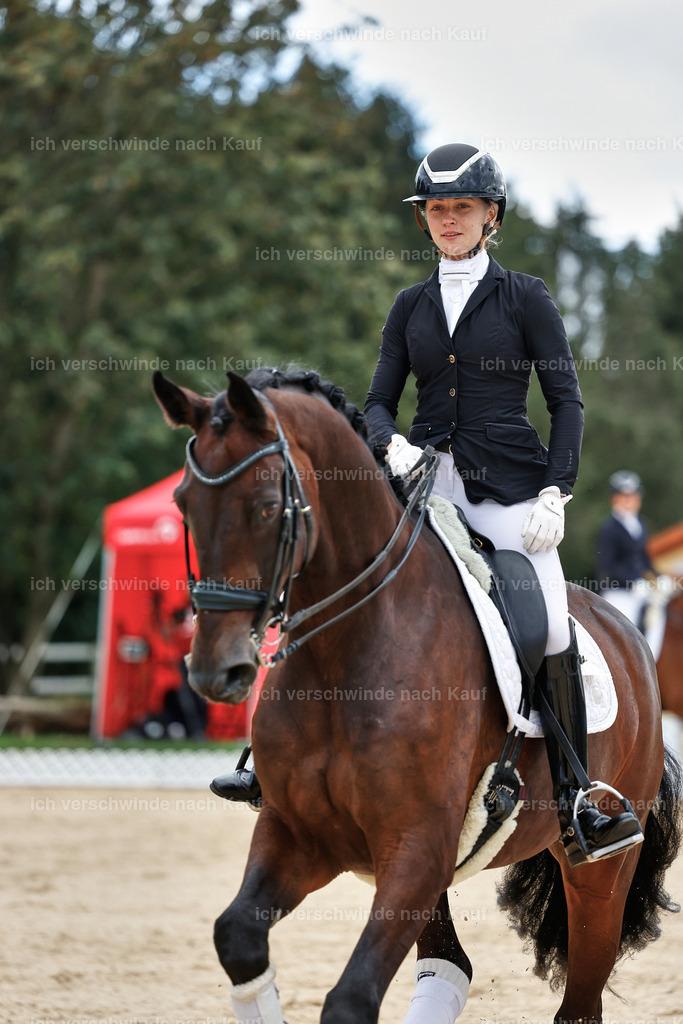 04_1-Siegerehrung-Dressur M__ -StoibPH-StoibPH-2711 | working equitationturnier fotograf videograf stoibphotography marixx film working equitation deutschland reitsport turnierfotografie eventfotografie equestrian events
