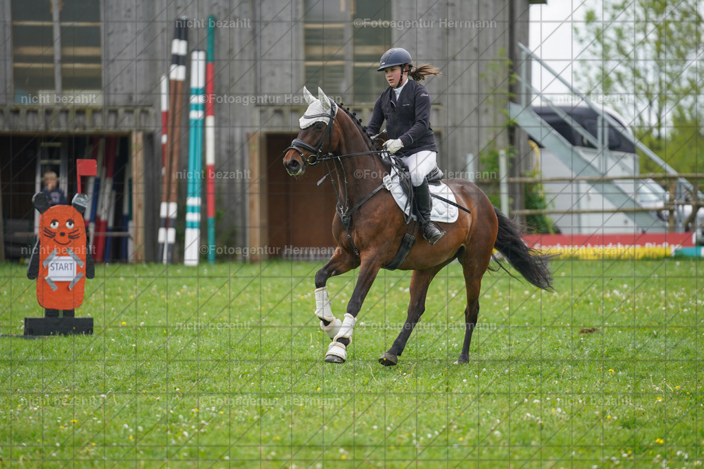20240509-FAH02414 | Turnierbilder der Turnierfotografen Bayern, Pferdesport Fotografie, Reitsportbilder, Turnier Landberg am Lech, Turnierbilder bayern, Fotoagentur Herrmann