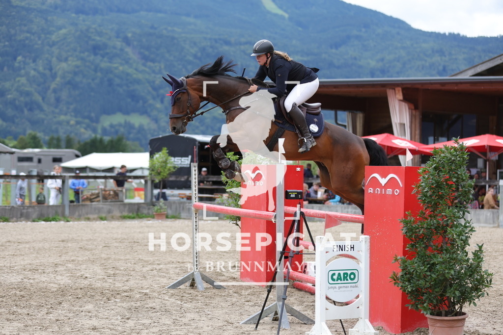 0P6A2717 | Willkommen bei Brunnmayr - Design & Fotografie – Ihrem Spezialisten für Reitturniere und Pferdeveranstaltungen in Oberösterreich, Salzburg und Bayern! Seit über 17 Jahren sind wir leidenschaftlich dabei.