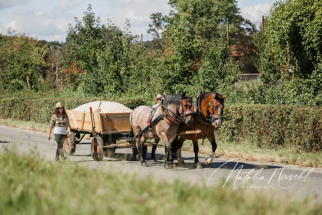 7V6A2455 | natalia-nirschl-photography