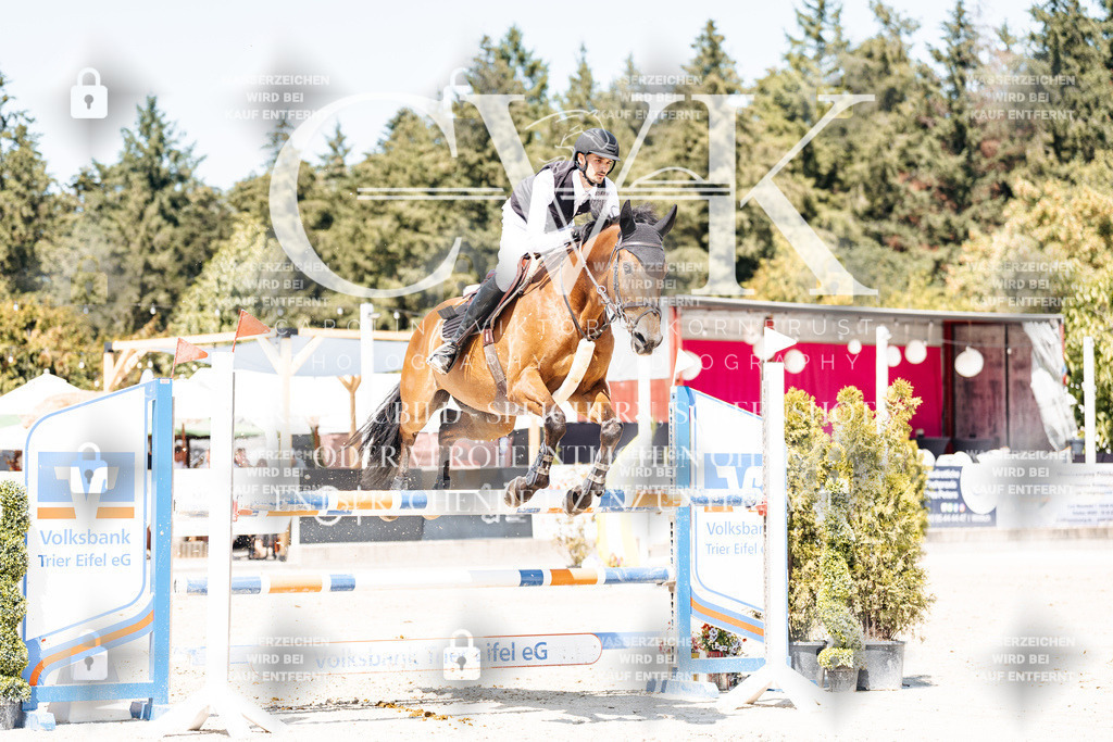 CK900605 | Turnierfotografie Pferdefotografie Trier Rheinland-Pfalz Pferdesport Reitsport Tierfotografie Sportfotografie Pferdevideo Pferdevideografie Equestrianvideography equestrianphotography  - Realisiert mit Pictrs.com