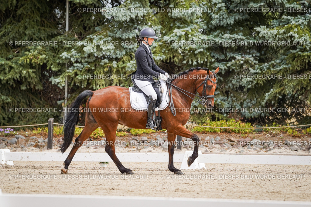 DSC03721 | Pferdegrafie