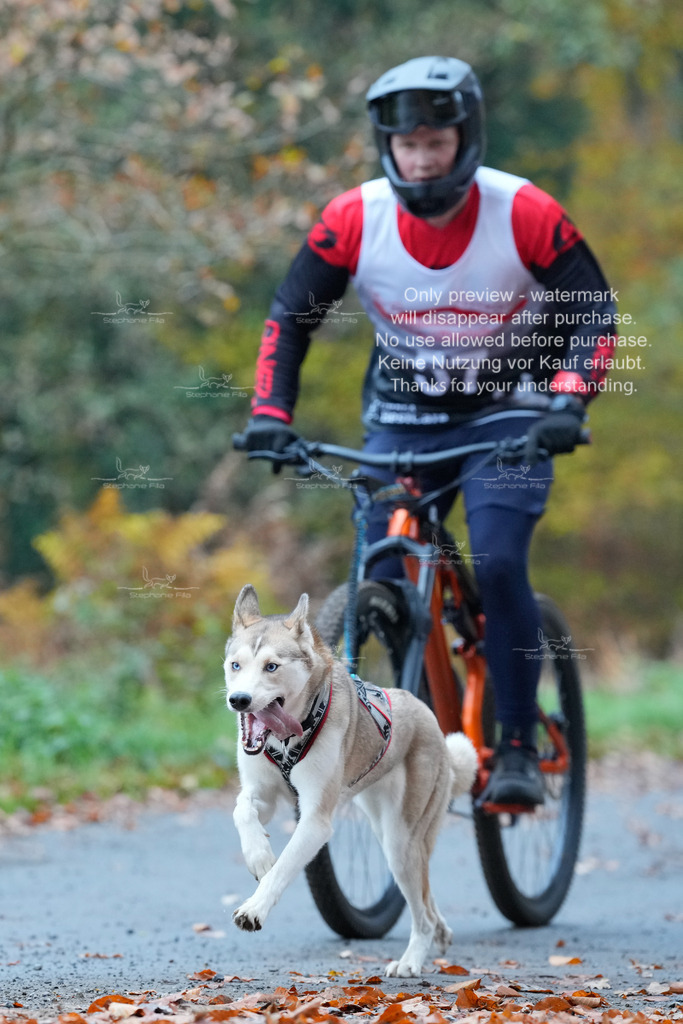 Bike_So-88 | stephaniefillaphotographie - Realisiert mit Pictrs.com