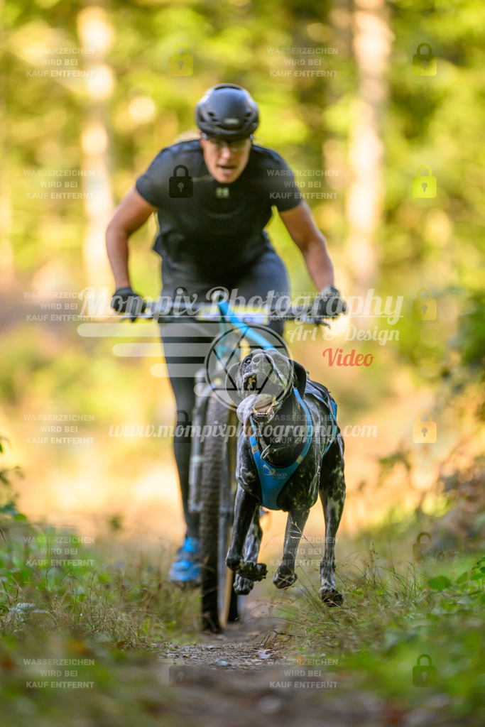 MompixPhotography_Yens2025_B3-166 | PayLife