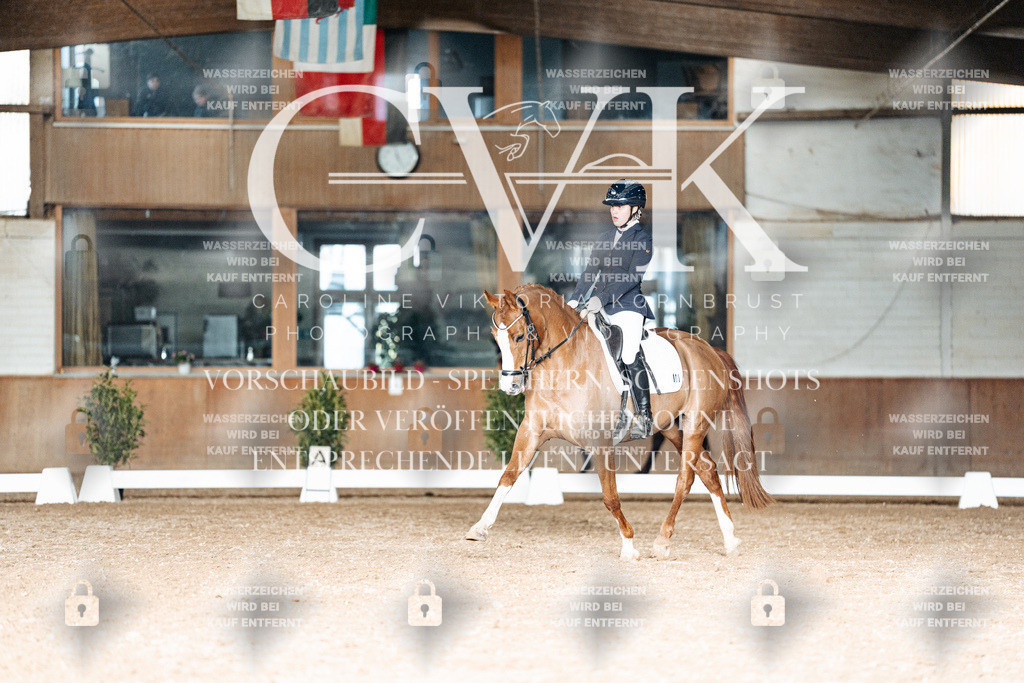 CK902991 | Turnierfotografie Pferdefotografie Trier Rheinland-Pfalz Pferdesport Reitsport Tierfotografie Sportfotografie Pferdevideo Pferdevideografie Equestrianvideography equestrianphotography  - Realisiert mit Pictrs.com